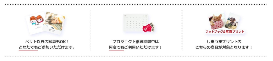 ペット以外の写真もOK!