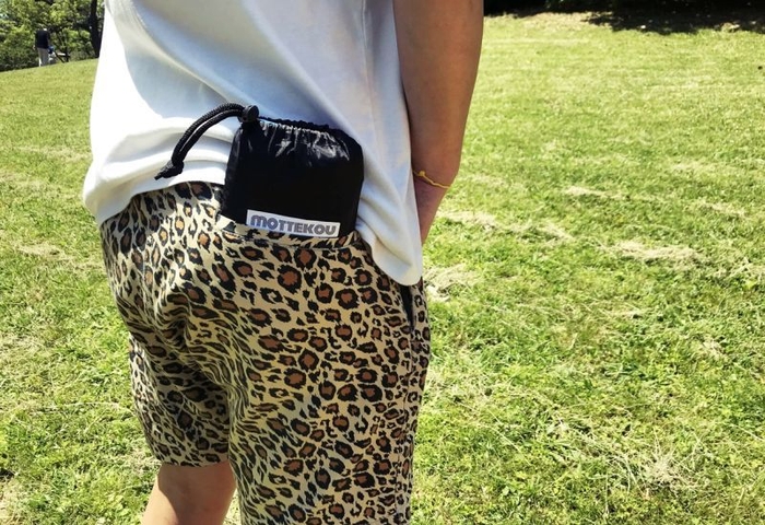 ポケットサイズ