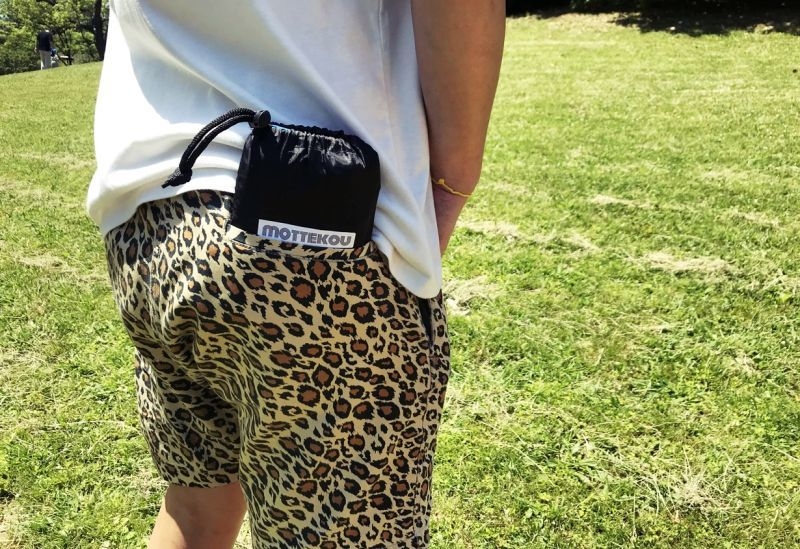 ポケットサイズ