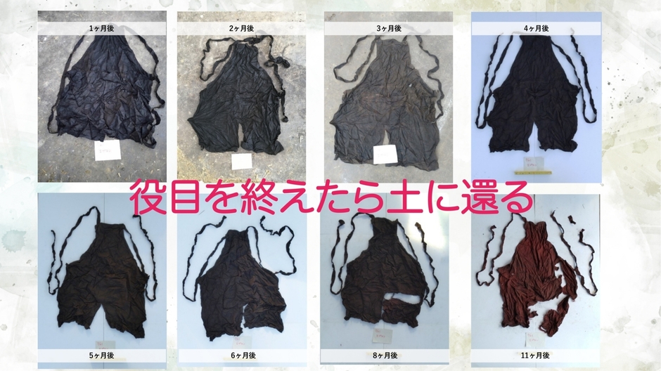 役目を終えたら土に還る