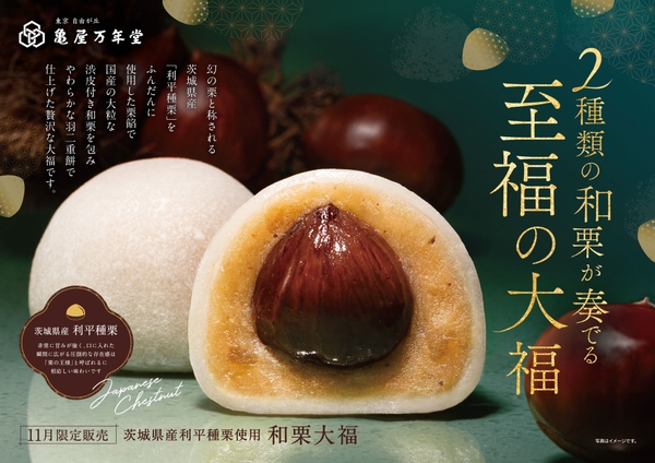 東急線ドア横ポスター