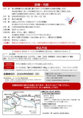 チラシ裏