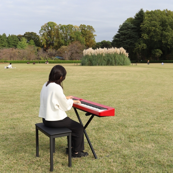「平和の森ピアノ」イメージ