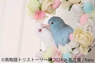 幻の鳥から野鳥まで “一瞬の美しさ”を集めた展示会 「鳥物語トリストーリー展 2024」を4/27(土)～ 名古屋で開催！ ～会場限定・新作のハンドメイドグッズも登場～