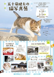 “猫専門カメラマン”五十嵐健太の「飛び猫写真展」を 広島県・宮城県・秋田県で初開催