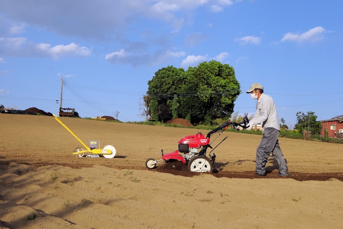 ニゲラの種まき前の整地作業