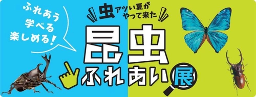 “虫アツい夏”に、驚きと発見を体感！ 小田急百貨店新宿店「昆虫ふれあい展」8月14日から開催 