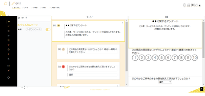 説明画像(サーベイ)