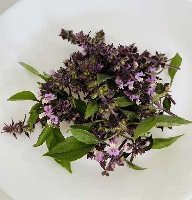 ホーリーバジル