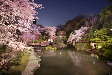 大人のお花見レストラン『神楽』原宿に3月26日オープン 　桜が一面に広がる日本庭園が“非日常”を演出