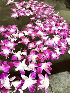 デンファレ風呂