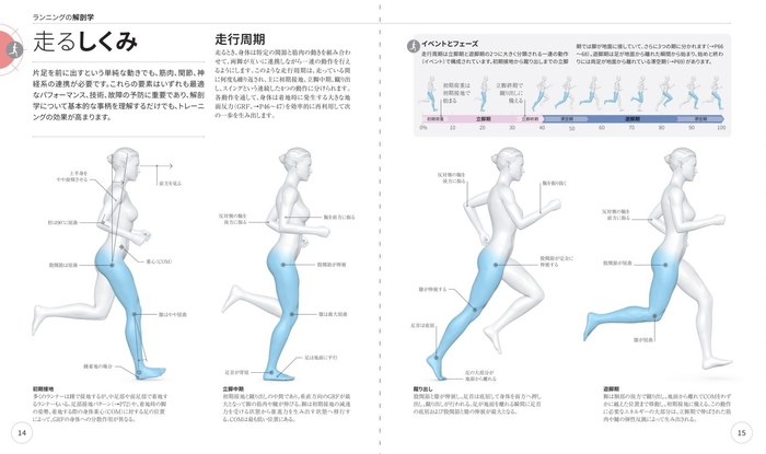 ランニングの解剖学　走るしくみ