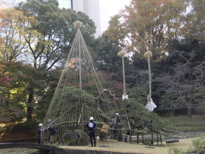 過去の雪吊りの様子