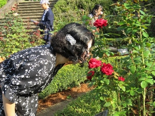 昨年の「バラの香りのツアー」の様子