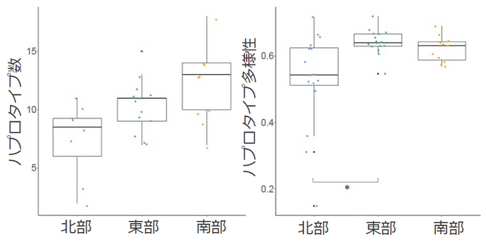 図3．琵琶湖の北部、東部、南部において検出されたハプロタイプの数（左）とハプロタイプ多様性（右）。北部のホンモロコ集団は、東部、南部に比べて遺伝的多様性が低い傾向が認められた。