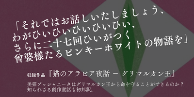 猫にご用心 紹介3