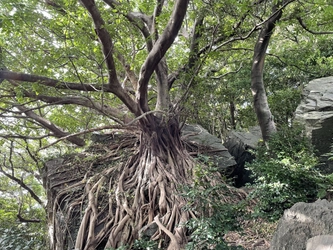 雲仙天草国立公園【天草エリア】の魅力に触れる・体験できる 観光コンテンツを一斉販売開始！各コンテンツをダイジェストで 観ることのできるプロモーションムービーも一斉リリース