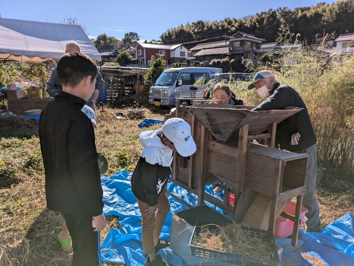 障害児たちが作ったもち米を脱穀