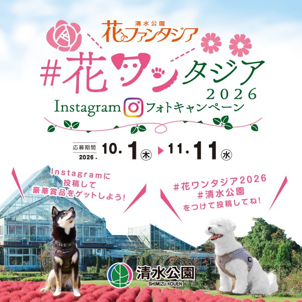【清水公園】花ファンタジアでフォトキャンペーン開催中!