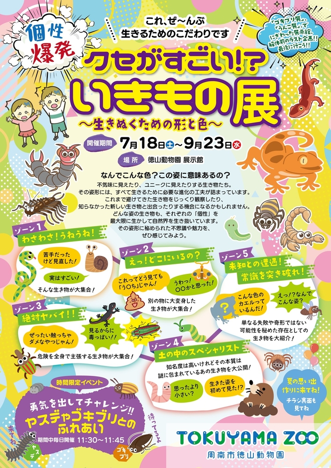 徳山動物園夏のイベントチラシ（表面）