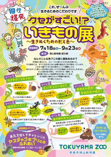 徳山動物園夏のイベントチラシ（表面）