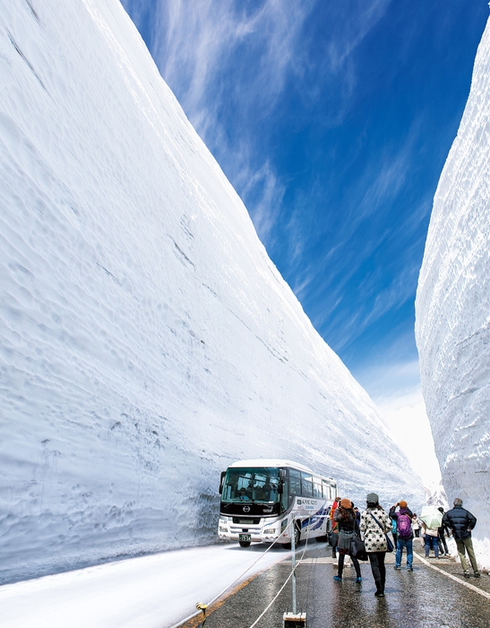 高さ20mにも迫る雪の大谷(室堂)