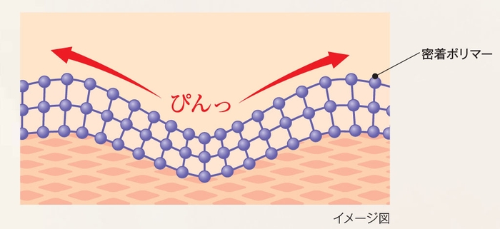 密着ポリマーで目元にハリ感