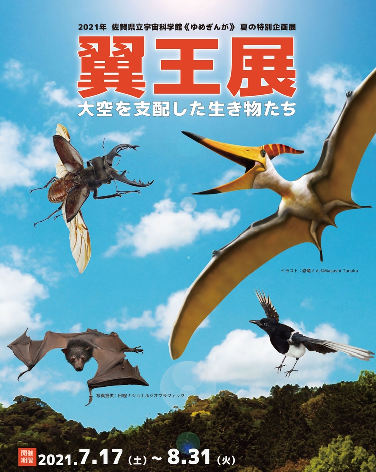 ~大空を支配した生き物たち~