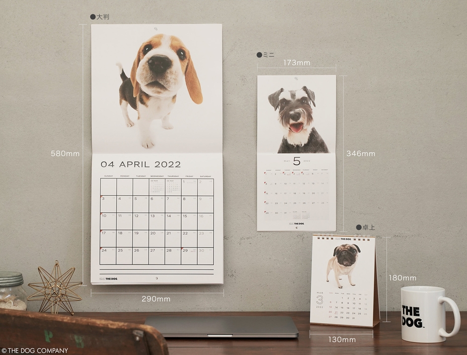 2022年犬種別カレンダー サイズイメージ