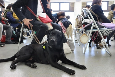 【国際盲導犬の日】四天王寺大学で盲導犬ボランティアの 交流イベント「ボランティアデイ」を実施しました！