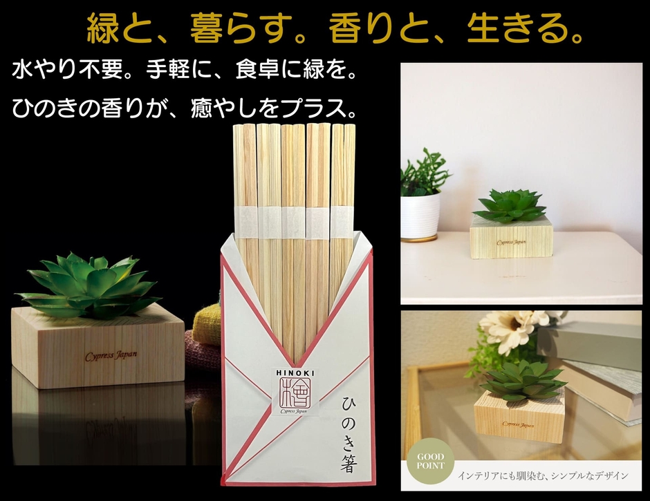 ひのき箸＋ひのき多肉植物・角S