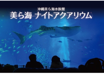 沖縄美ら海水族館で「美ら海ナイトアクアリウム」を開催　 8月1日～9月1日まで夏休み限定で夜の水族館を満喫