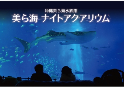 美ら海ナイトアクアリウム