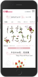 日比谷花壇　NTTドコモ「スゴ得コンテンツ」向け 「はなだより forスゴ得」 10月20日（火）から提供開始 