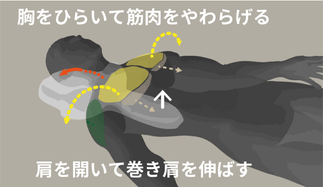 ゴッチョ背まくら 5