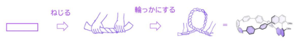 （図2）オリゴフェニレンを「ねじる」「環状にする」の概念図