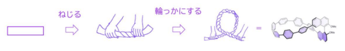 (図2)オリゴフェニレンを「ねじる」「環状にする」の概念図