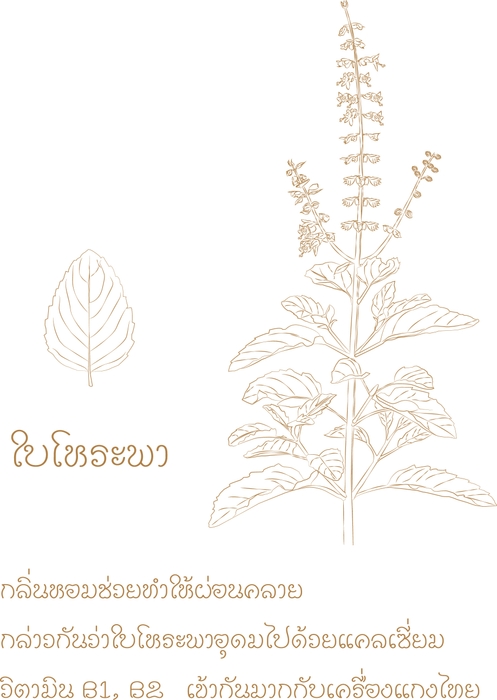 ホラパーイラスト タイ語入り