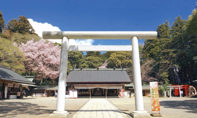 水戸 常磐神社で開催