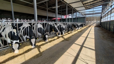 藤井牧場、国内初・乳牛最大級となる 家畜排せつ物管理によるJｰクレジット創出に成功