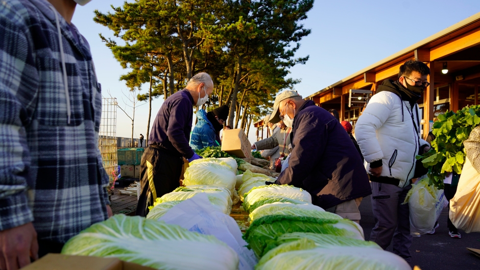新鮮野菜を特価販売いたします
