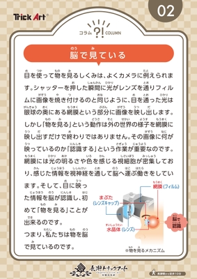 POP イメージ2