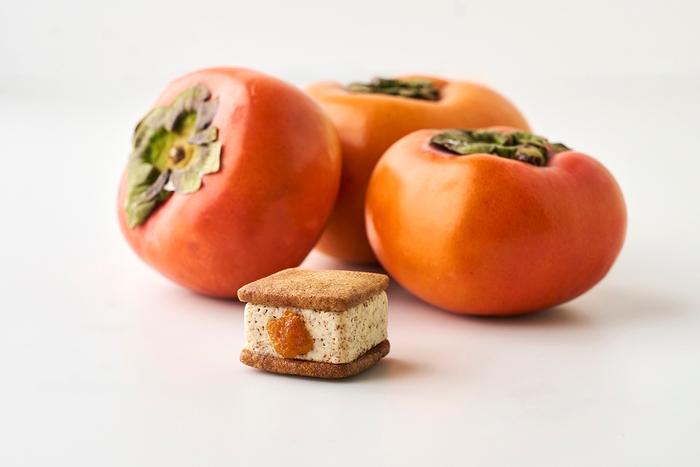 天空の村 “紀の川柿”