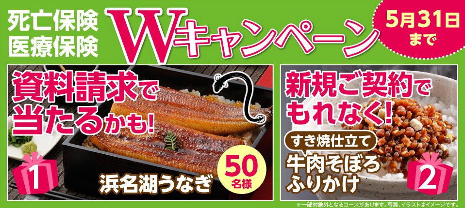死亡保険・医療保険の資料請求で「浜名湖うなぎ」が抽選で当たる！