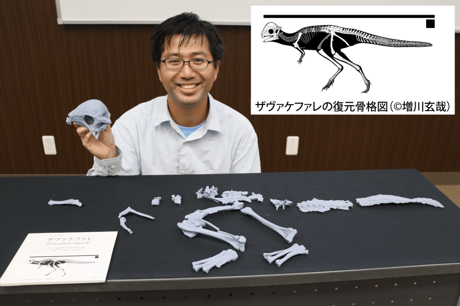 ザヴァケファレの等身大化石レプリカの頭部を手にする高崎助教