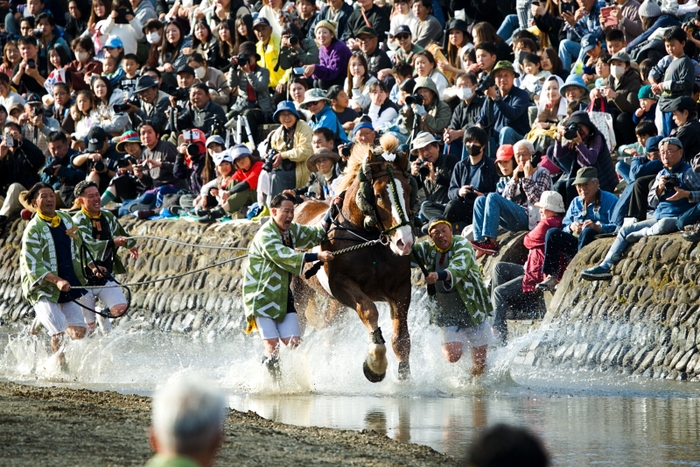 客席の前を神馬・飾馬が疾走