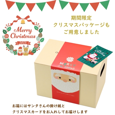 クリスマスBOX 