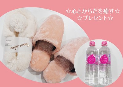 美容家電使い放題プラン プレゼント品