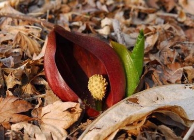 04
