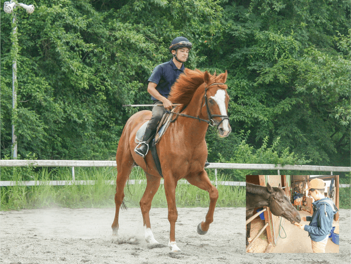 サラブレッドとの乗馬とふれあい体験